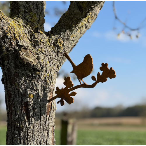 Moineau et cerisier en acier corten à piquer