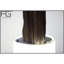 Lampe bois flotté Vendue
