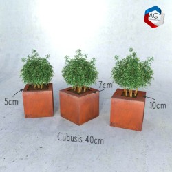 Bac à plantes Cŭbusis, modèles présentés 40cm avec retours de 5, 7 et 10 cm