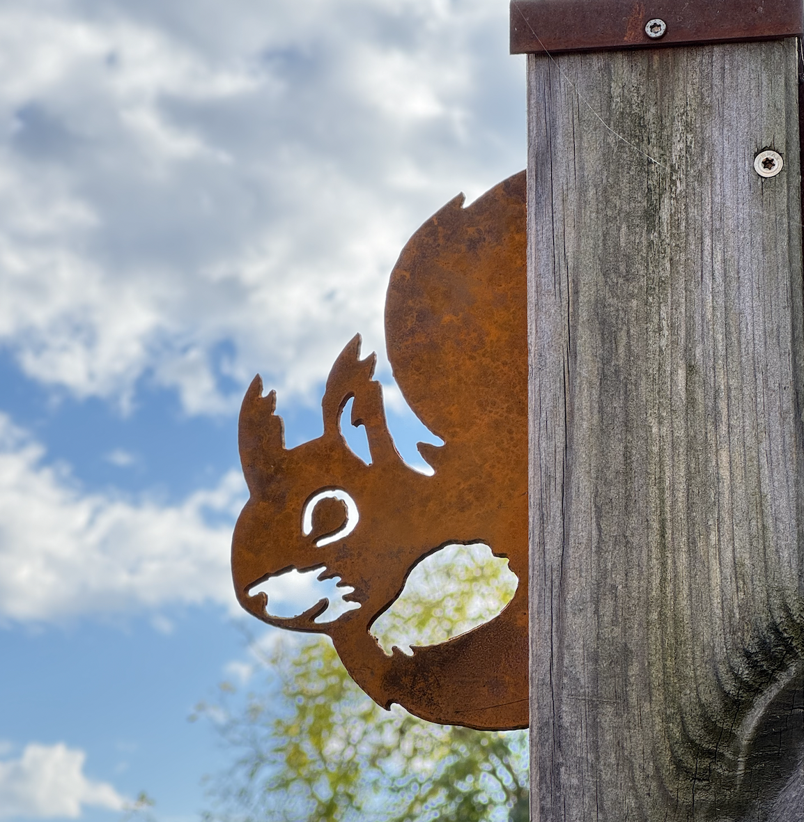 Ecureuil malicieux en acier corten à planter idée cadeau noel original fabriqué en france