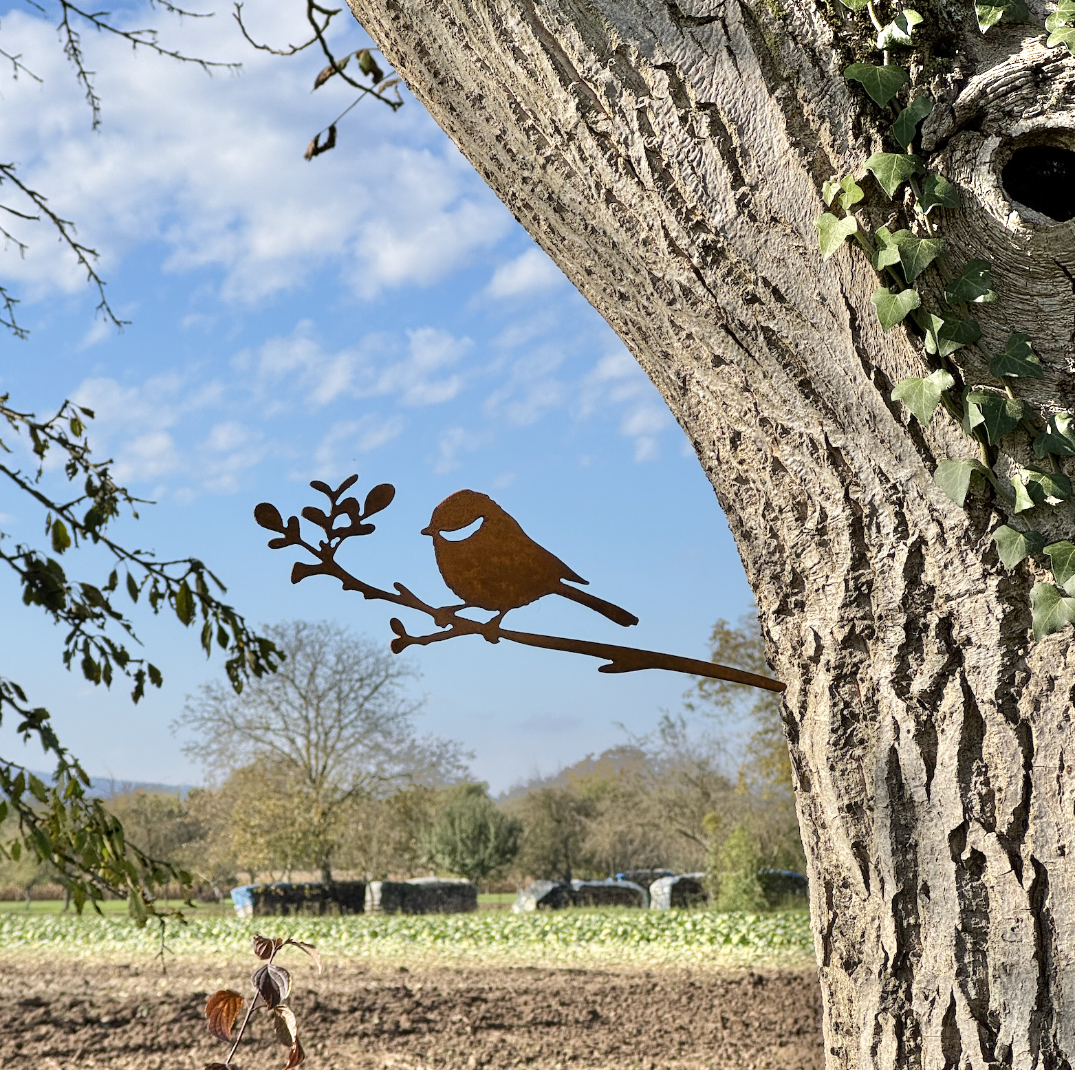 Mésange Charbonnière  en acier corten à piquer, idée cadeau de noël original et fabriqué en france