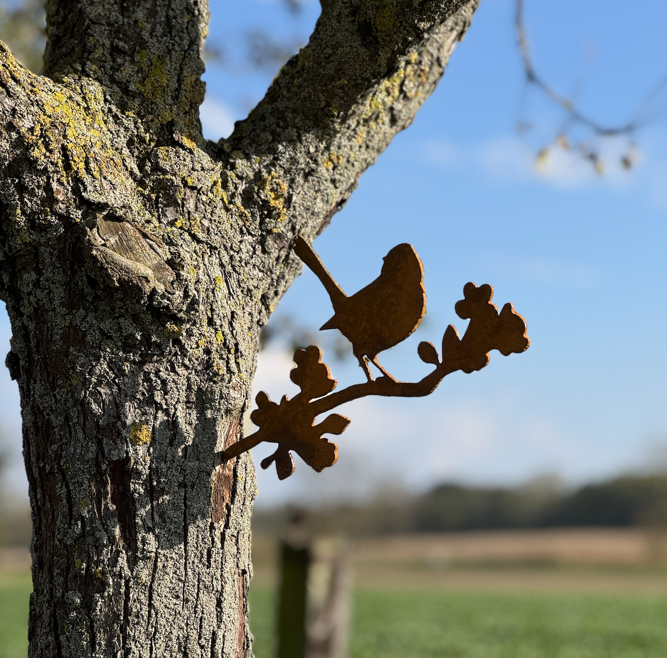 Le Moineau en acier Corten est un cadeau original pour Noël ou toute autre occasion. Fabriqué en France, il fera forte impression !